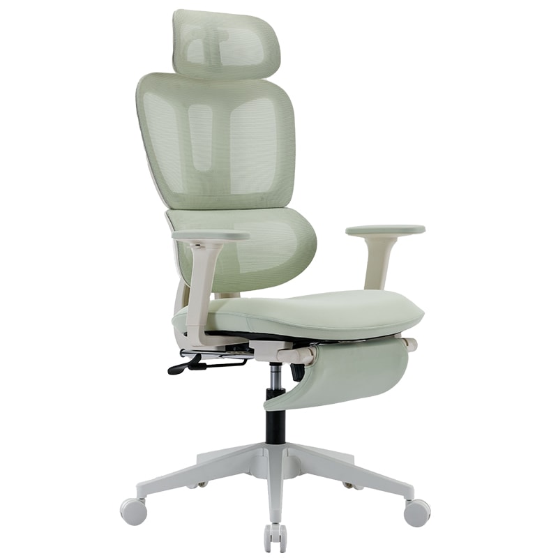 Multi-functional Ergonomic Mesh Office Chair With Adjustable Armrest,Footrest,Lumbar Support, 360° Silent Wheels,Headrest For Home & Office,Green_voghion.com