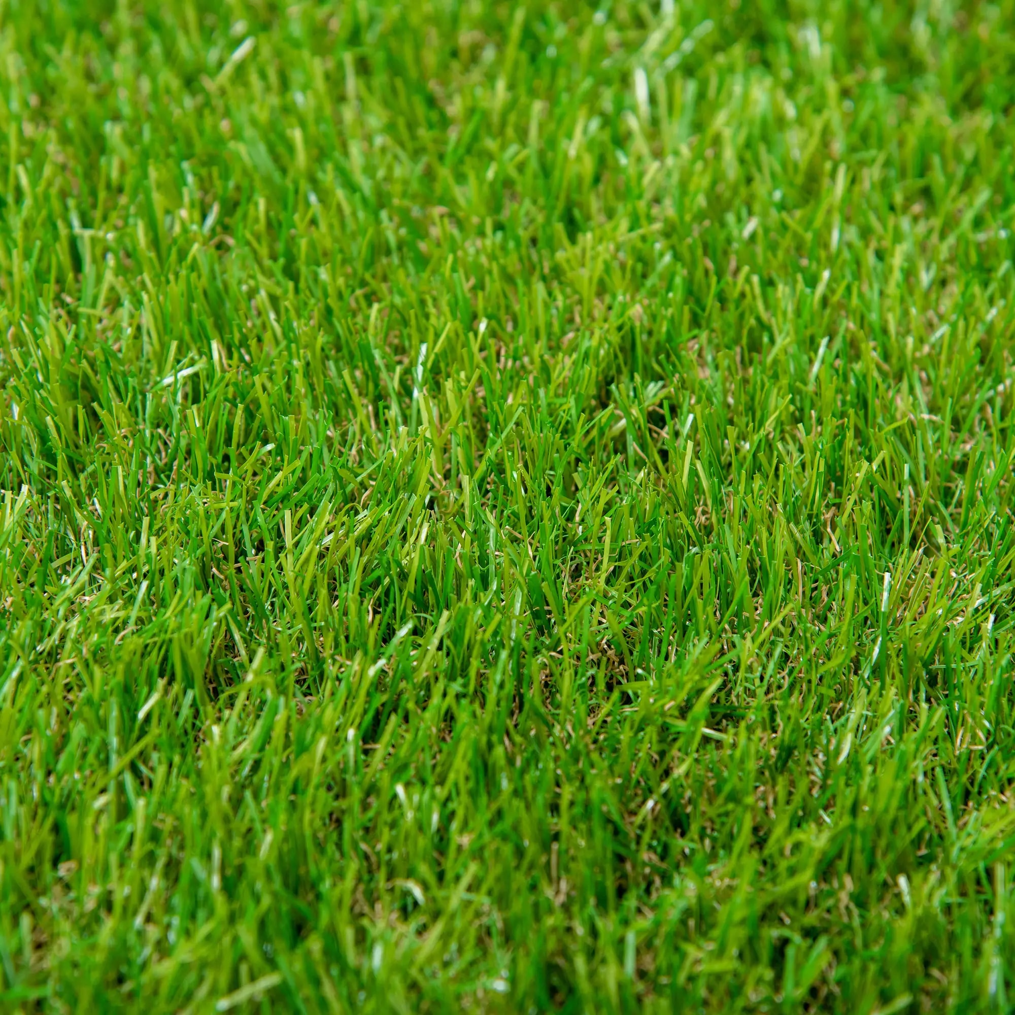 10' X 3' Artificial Turf Grass With Simulated Look & Feel UV Protection, & Drain Holes For Rain_maomaolike.com