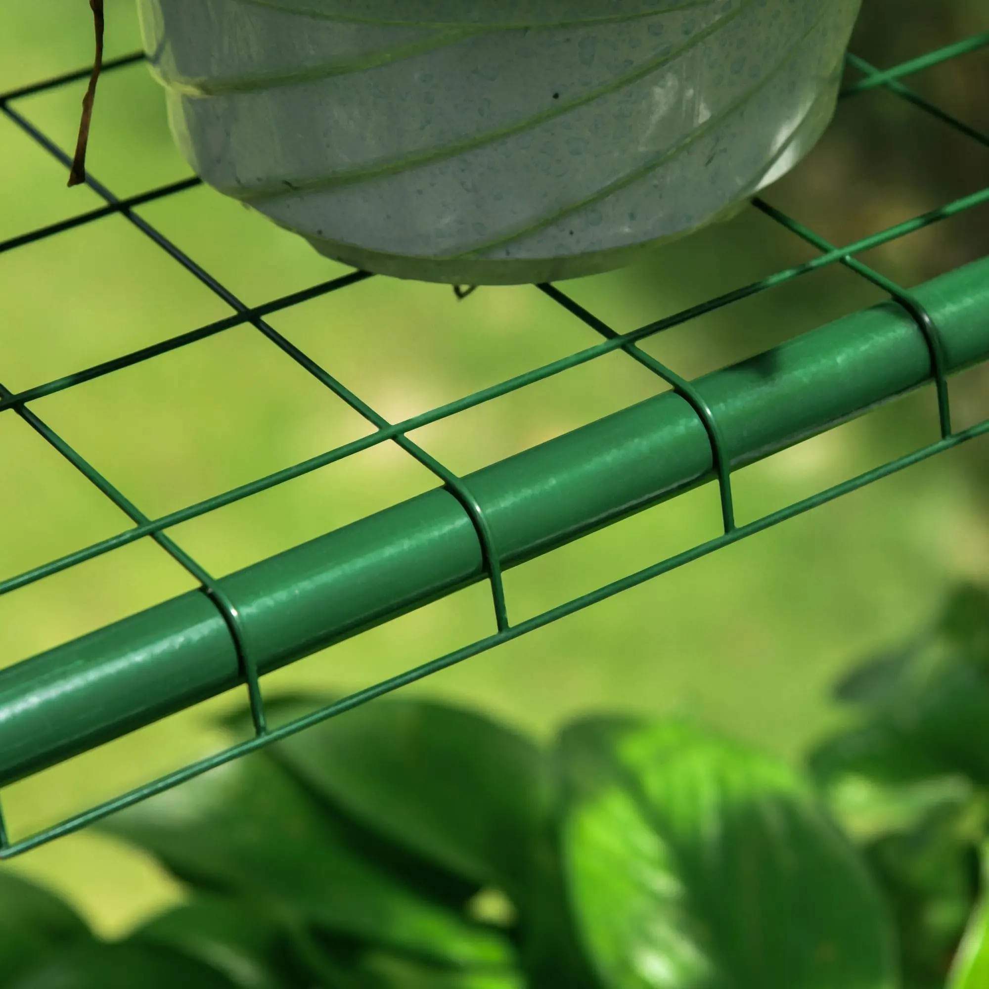 Mini Walk-in Greenhouse Kit, 5' X 5' X 6' Portable Green House With 3 Tier Shelves, Roll-Up Door, And Weatherized Plastic Cover_maomaolike.com